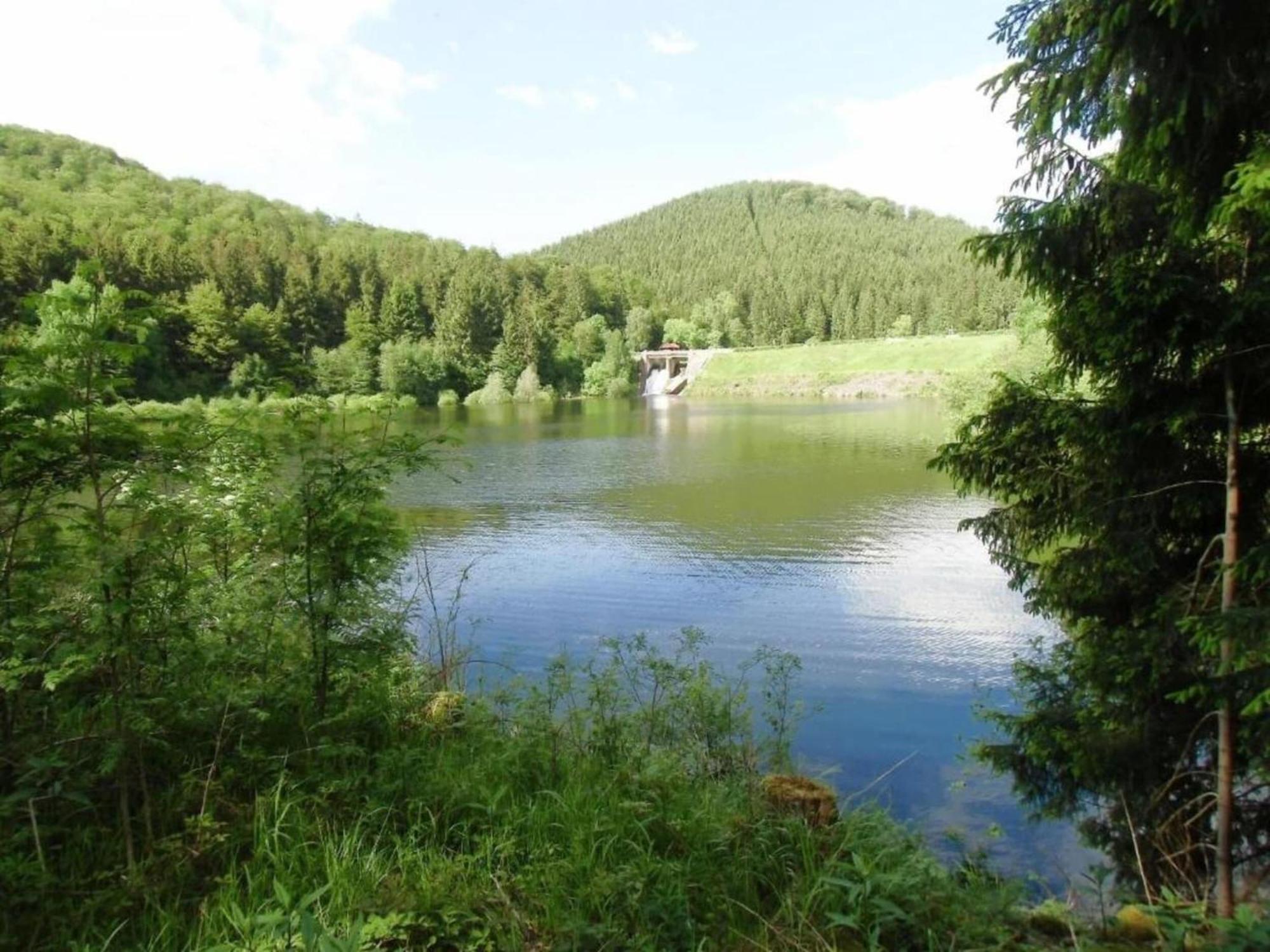 Detached Holiday Residence In The Wonderfully Beautiful Harz Kamschlacken Εξωτερικό φωτογραφία