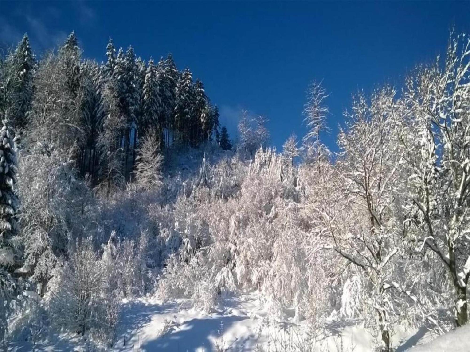 Detached Holiday Residence In The Wonderfully Beautiful Harz Kamschlacken Εξωτερικό φωτογραφία